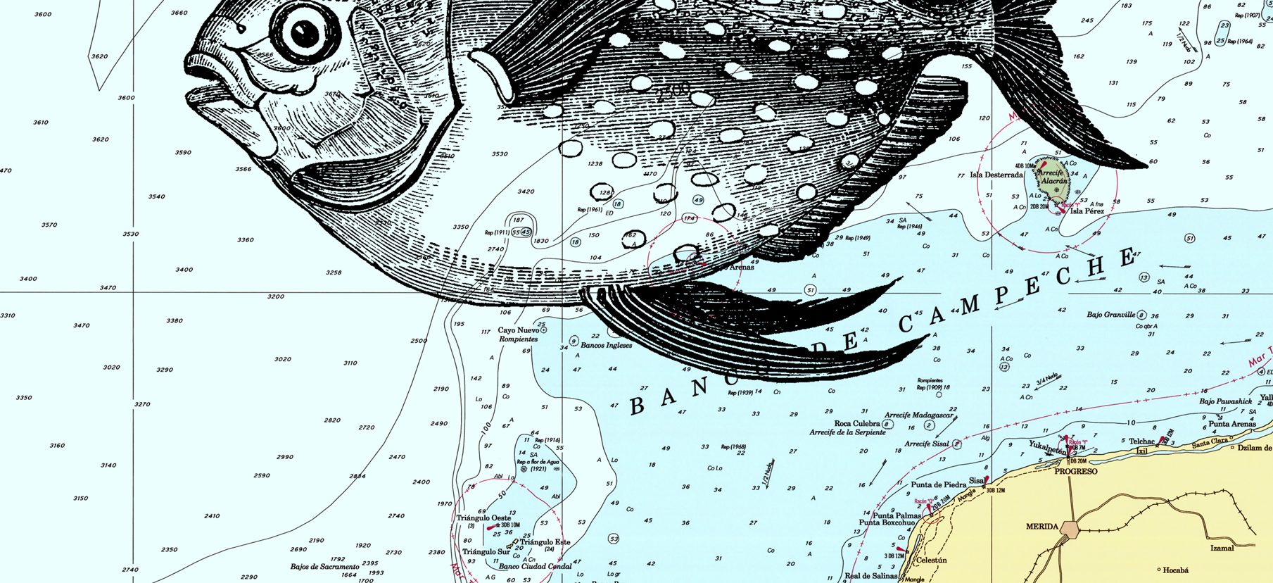 Eine Plakat Hommage an das Gedicht »Hafenkneipe« von Joachim Ringelnatz. Im Hintergrund eine Seekarte. Im Vordergrund eine historische schwarz-weiß Zeichnung aus dem 19. Jahrhundert von einem Fisch mit einem großen plakativen Schriftzug »Haifisch Matrosen« darunter.